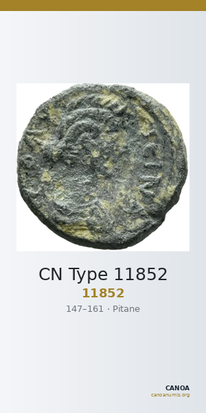 CN Type 11852 — CANOA