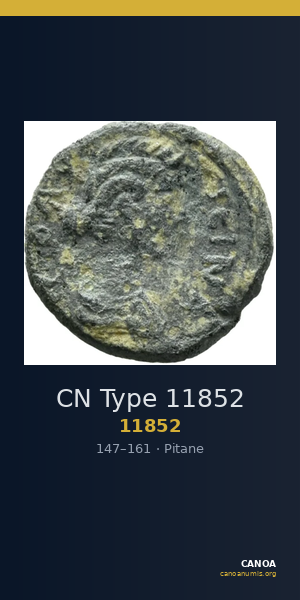 CN Type 11852 — CANOA