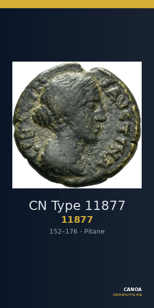 CN Type 11877 — CANOA