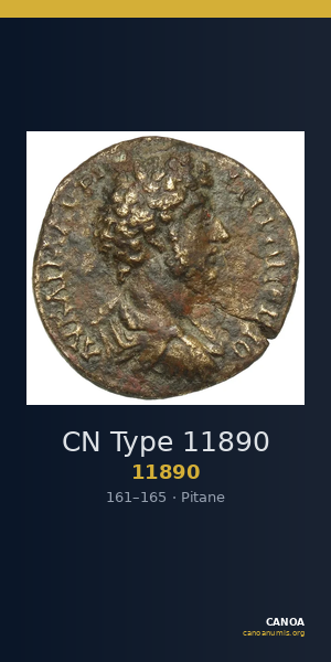 CN Type 11890 — CANOA