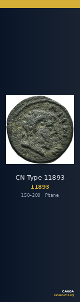 CN Type 11893 — CANOA