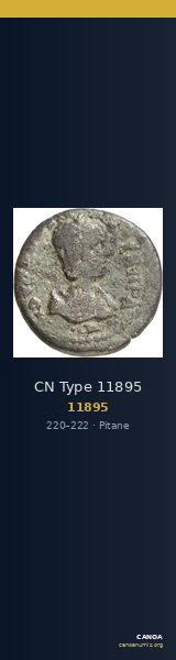 CN Type 11895 — CANOA