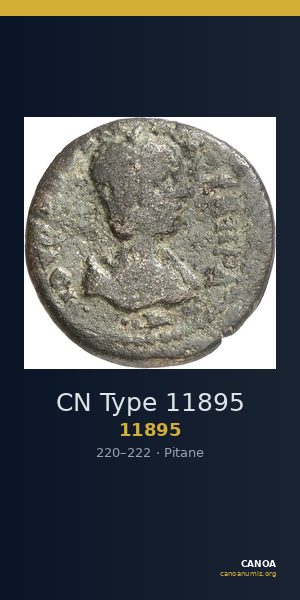 CN Type 11895 — CANOA
