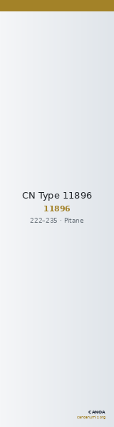 CN Type 11896 — CANOA