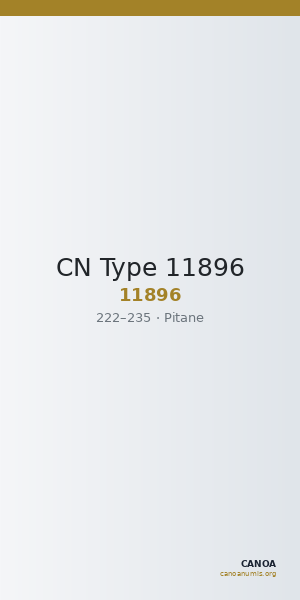 CN Type 11896 — CANOA