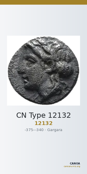 CN Type 12132 — CANOA
