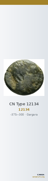 CN Type 12134 — CANOA