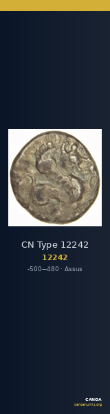 CN Type 12242 — CANOA