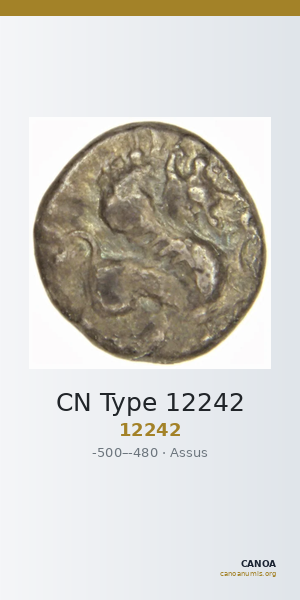 CN Type 12242 — CANOA