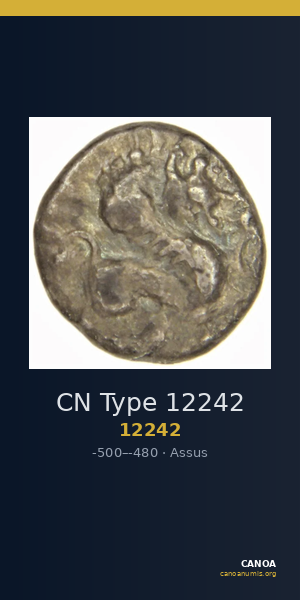 CN Type 12242 — CANOA