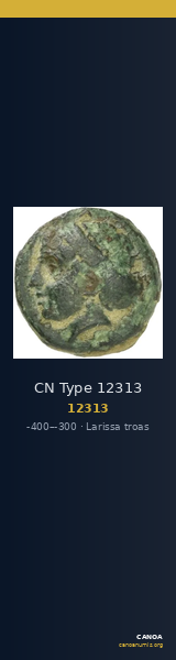 CN Type 12313 — CANOA