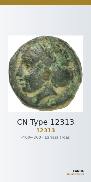 CN Type 12313 — CANOA