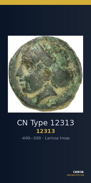CN Type 12313 — CANOA