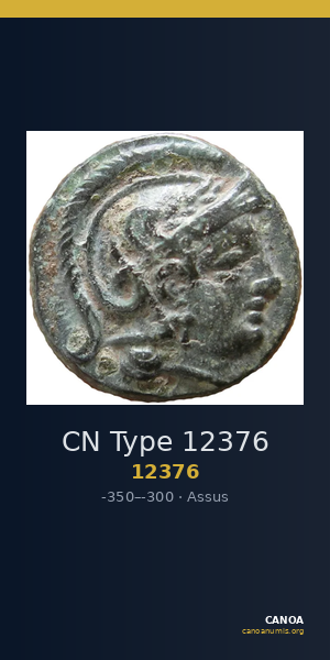 CN Type 12376 — CANOA