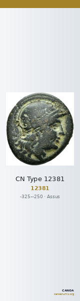 CN Type 12381 — CANOA
