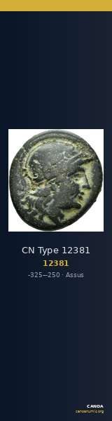 CN Type 12381 — CANOA