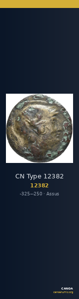 CN Type 12382 — CANOA