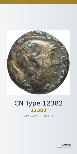 CN Type 12382 — CANOA