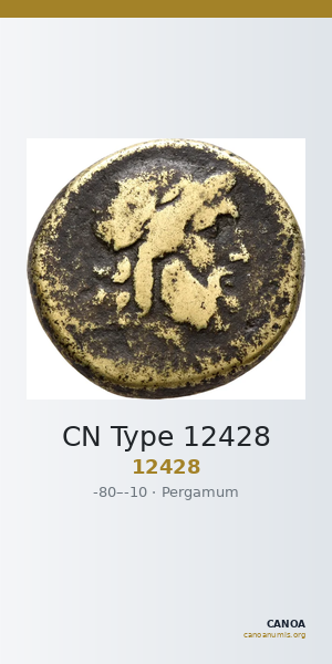 CN Type 12428 — CANOA