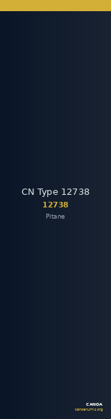 CN Type 12738 — CANOA