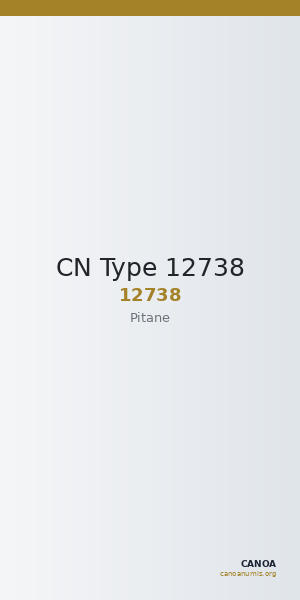 CN Type 12738 — CANOA