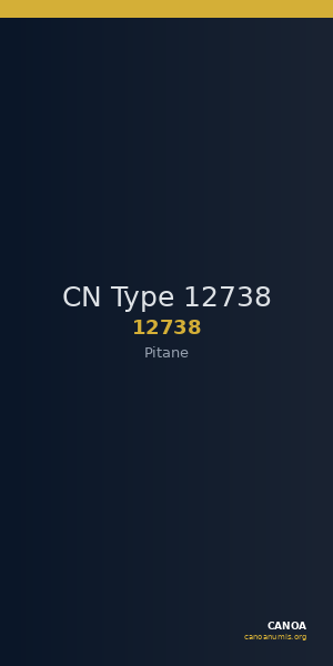 CN Type 12738 — CANOA