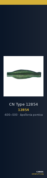 CN Type 12854 — CANOA