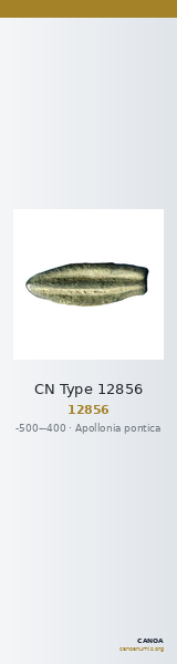 CN Type 12856 — CANOA