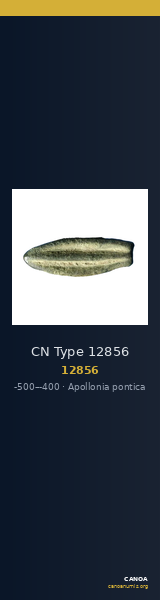 CN Type 12856 — CANOA