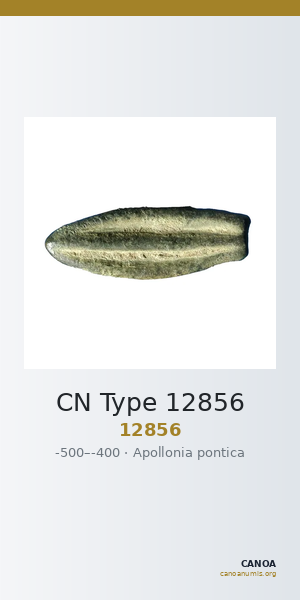 CN Type 12856 — CANOA