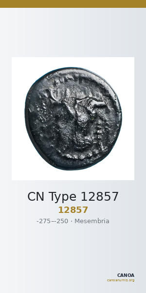 CN Type 12857 — CANOA