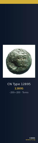 CN Type 12895 — CANOA