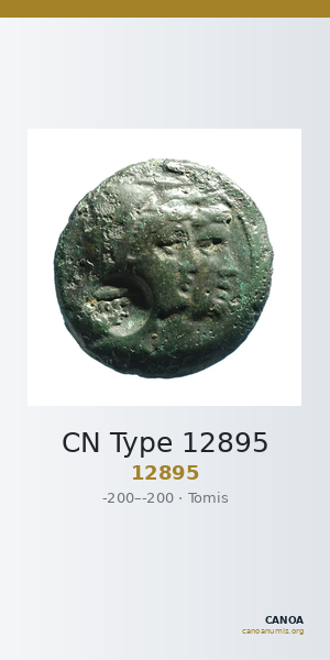 CN Type 12895 — CANOA