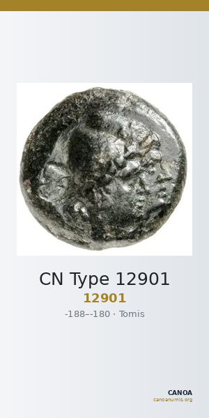 CN Type 12901 — CANOA