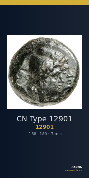 CN Type 12901 — CANOA