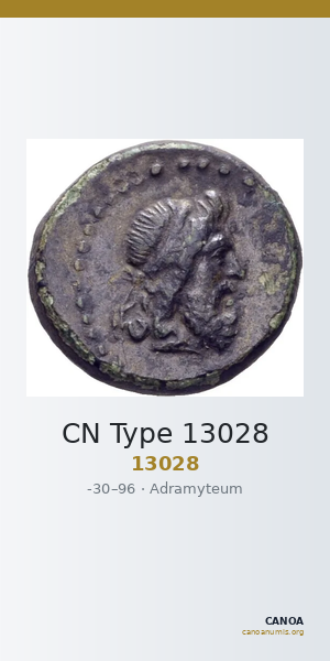 CN Type 13028 — CANOA