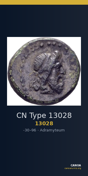 CN Type 13028 — CANOA