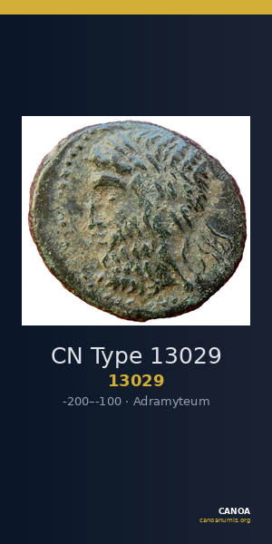 CN Type 13029 — CANOA