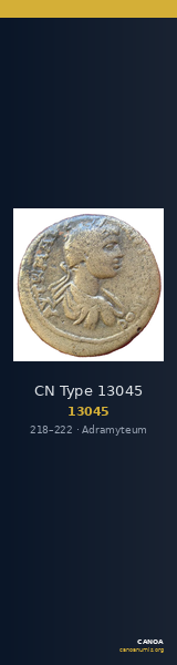 CN Type 13045 — CANOA