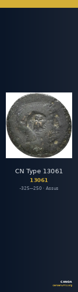 CN Type 13061 — CANOA