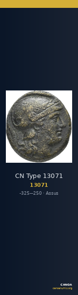 CN Type 13071 — CANOA