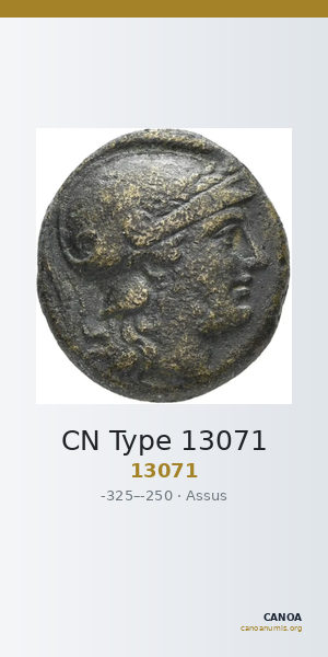 CN Type 13071 — CANOA