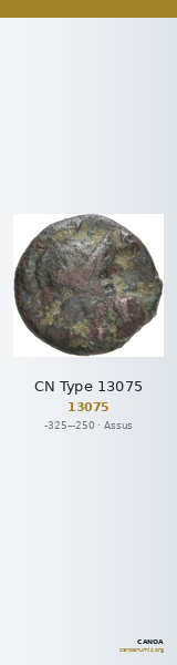 CN Type 13075 — CANOA