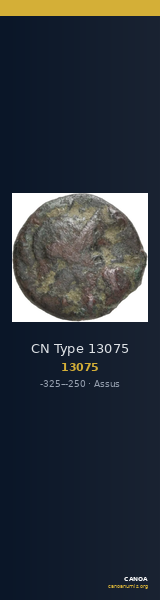 CN Type 13075 — CANOA