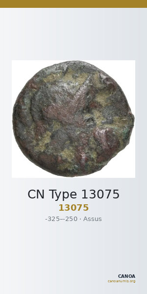 CN Type 13075 — CANOA