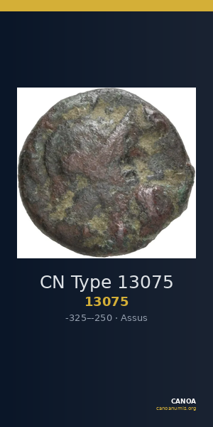CN Type 13075 — CANOA
