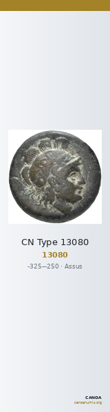 CN Type 13080 — CANOA