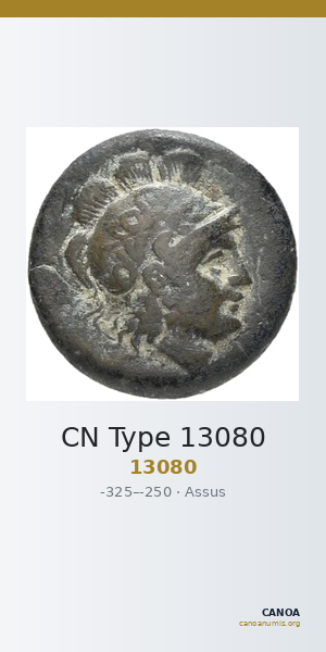 CN Type 13080 — CANOA