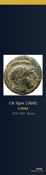 CN Type 13082 — CANOA