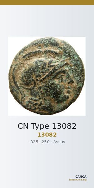CN Type 13082 — CANOA